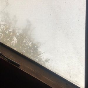 Meet your Posher, Ariel